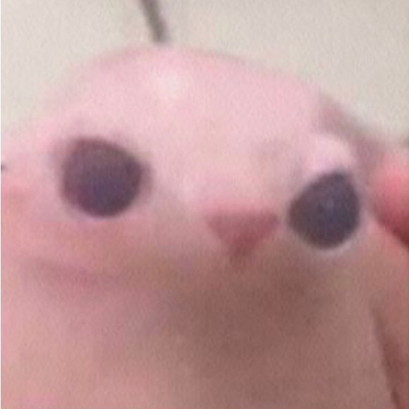 Meet your Posher, Leah - Picture 1 of 1